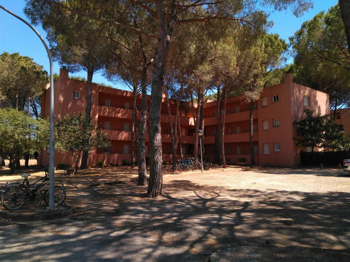 Bonito Apartamento, Con Piscina, Excelente Wifi Y Aire Acondicionado Pals Kültér fotó